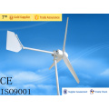 600W kleinen Windgenerator für zu Hause